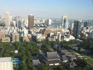view